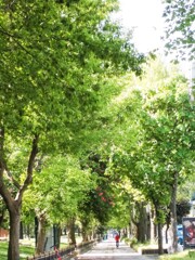 早朝ジョッキング…☆