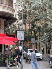 ある朝…街角…