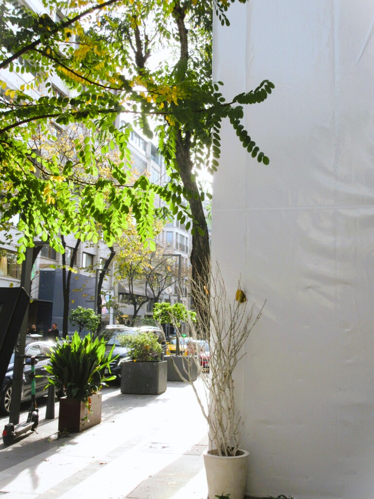 カランコロン～　カラッポ～