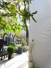 カランコロン～　カラッポ～