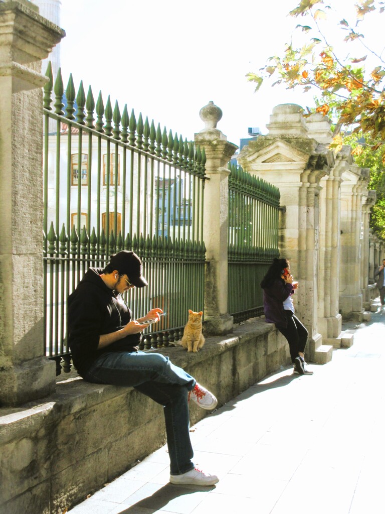 こんなにアピールしてるにょにィ…！