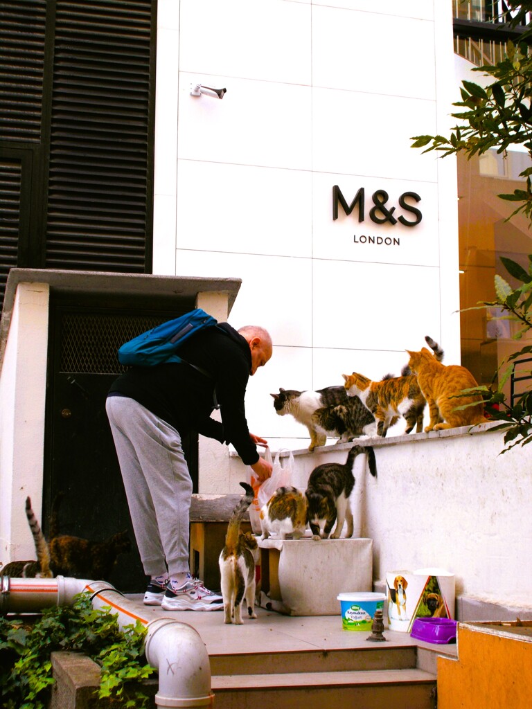 おじちゃん　おっちゃん　おじちゃーん～♪♡♪