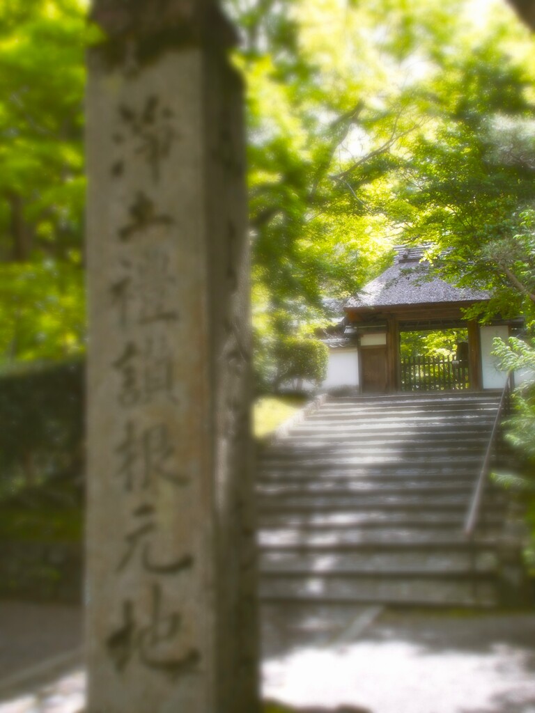 東山　安楽寺～