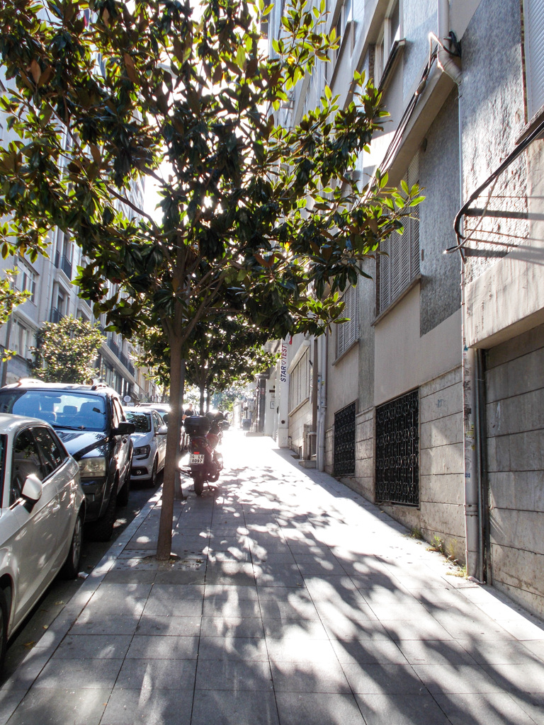 朝陽の中へ～✨～