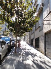 朝陽の中へ～✨～