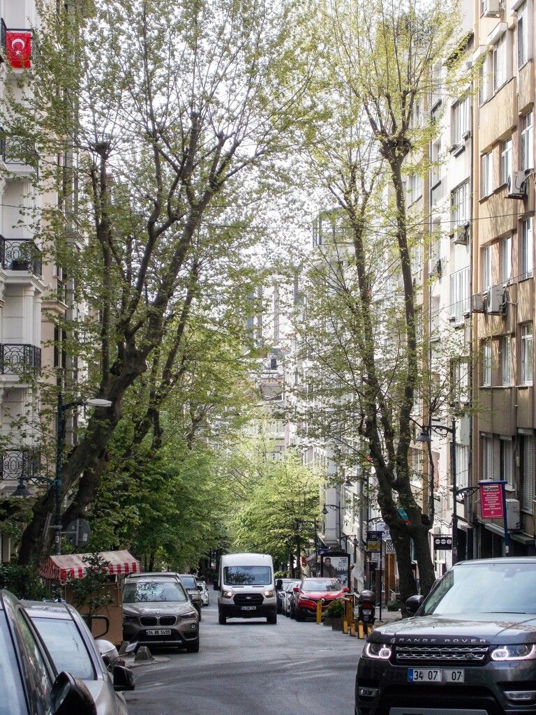 買い出し～　こんなに美しい街に住まわせて頂いています♪～