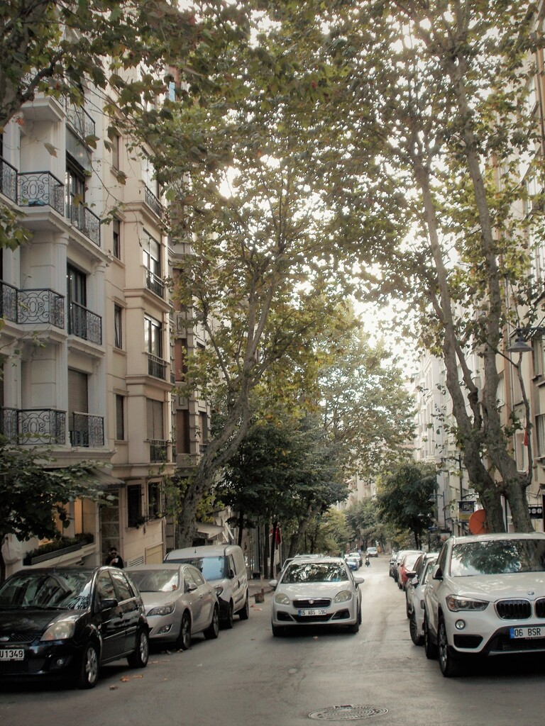 色んな思いを抱いて毎日通る道…