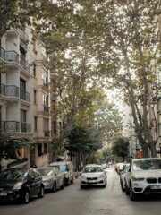 色んな思いを抱いて毎日通る道…