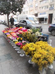 ミモザを腕一杯買ってきたよ～♪♡