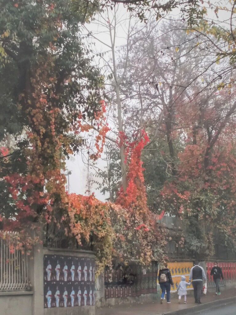 血の繋がりって…何だろう…？