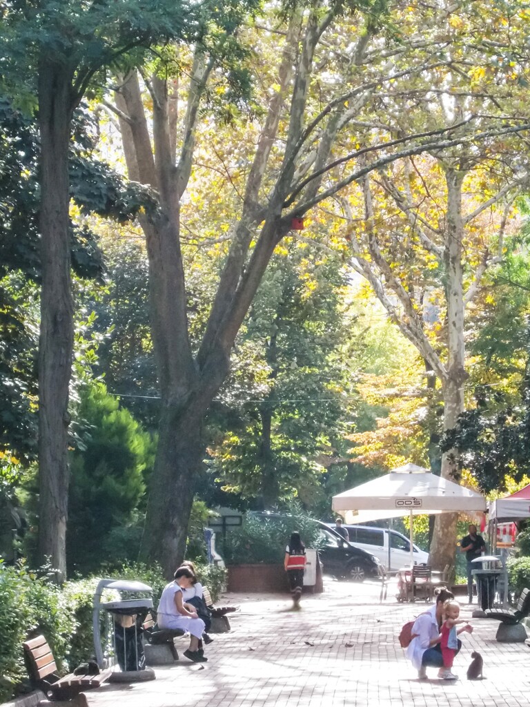 週末の朝の公園で～✨