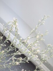 木枯らしの華～