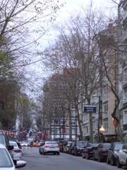 病み上がり…　探してしまう紅の色…