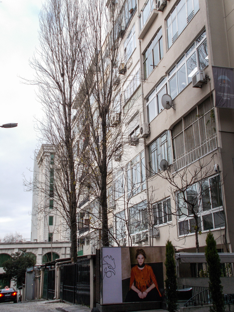 冬枯れの街路樹～