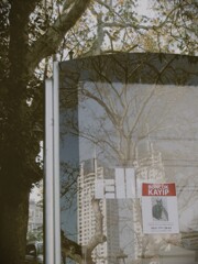  boncuk ボンジュック　行方不明。。。