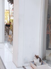 寒かった長い夜…　これからず～と…