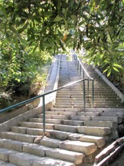 何処へ連れて行ってくれるの…？