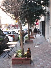 八方美ニャン～　後ろからだって～♪