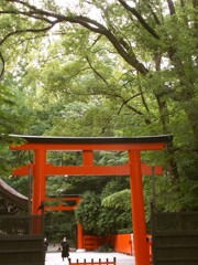 朱い鳥居が　強く生きていきなさい　っていう～～