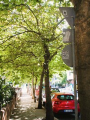 光りがあれば～　怖くない～