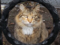 MGMスタジオ～　リハーサル～