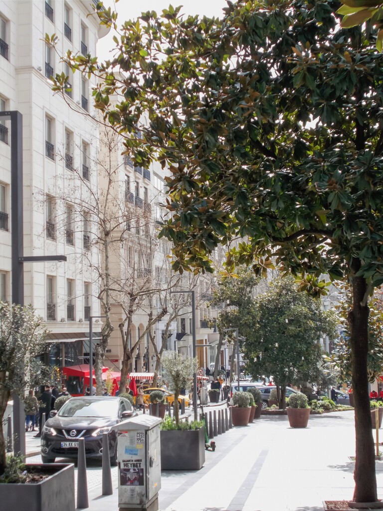 浅春～　赤い点景～