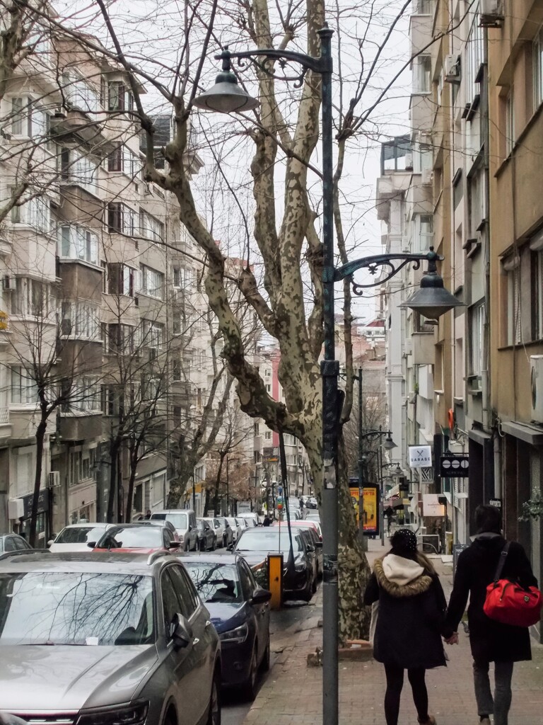 北風～～　遠い春…