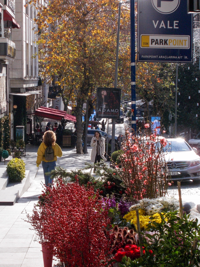 ジプシーの年末用の赤い枝達