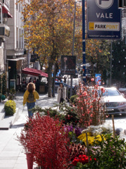 ジプシーの年末用の赤い枝達