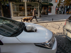 無防備ニャ～♡～