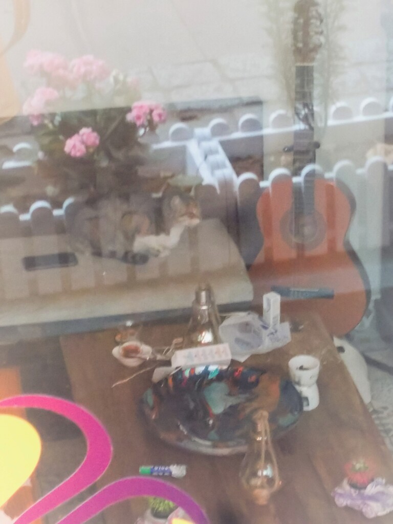 通りの野良ちゃんにお店番頼んで～～♪