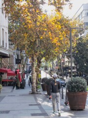 キラキラ✨～　朝の散歩～♪