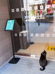 ソーシャルディスタンス～