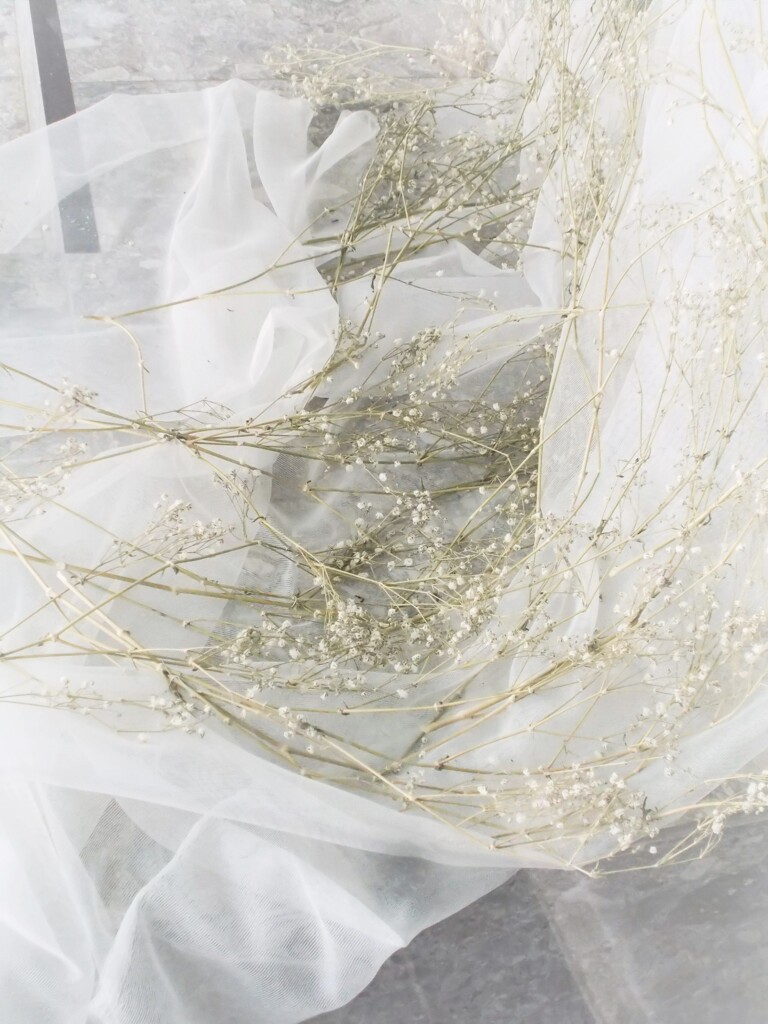 う～ん　どっちも好き…　決められない…