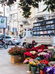 ジプシーの花売り~早朝から夜遅くまで~ ジプシーの花売り~早朝から夜遅くまで~