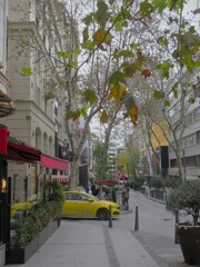 ブロンドの美人みたいな通り～♪