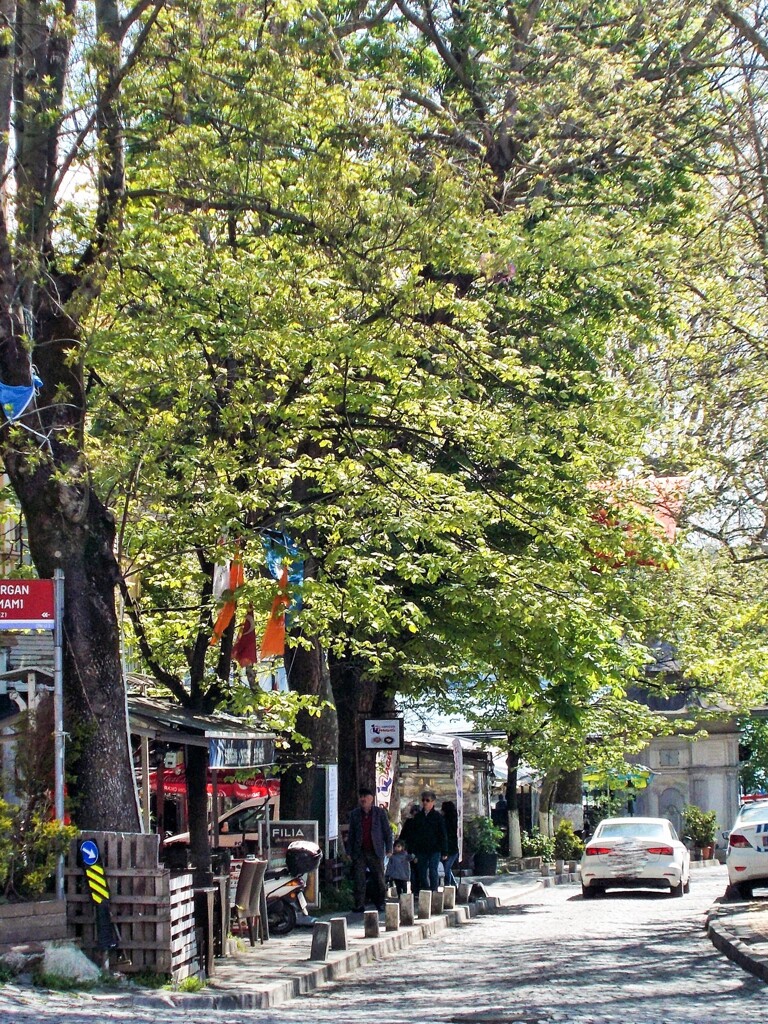 海辺の町の今頃～～