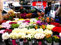 春よ　遠き春よ　ずっと待ってます～～♪