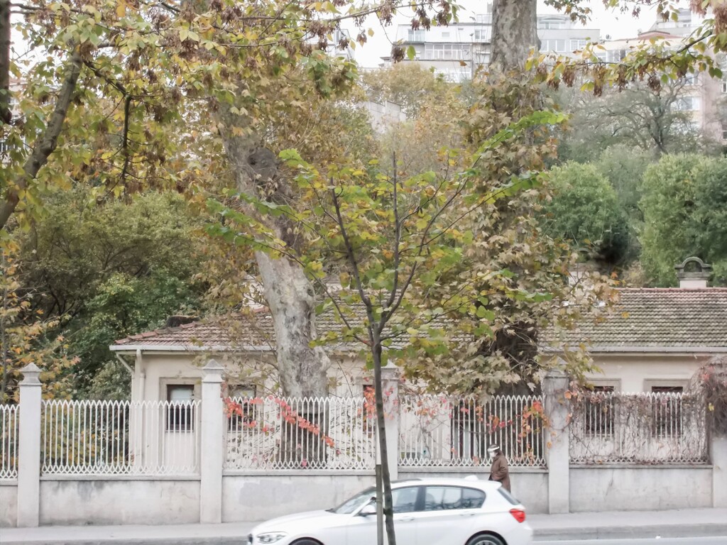 冬枯れの…　彩りのない生活に似て…