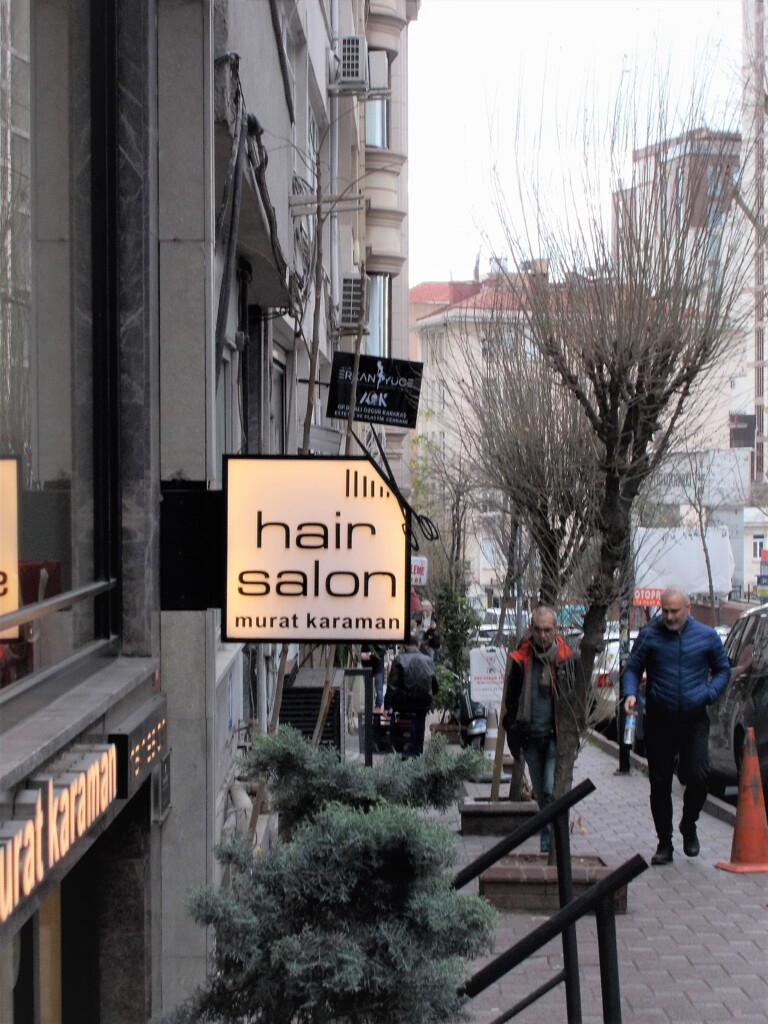 ムクゲの寒樹…尖尖…