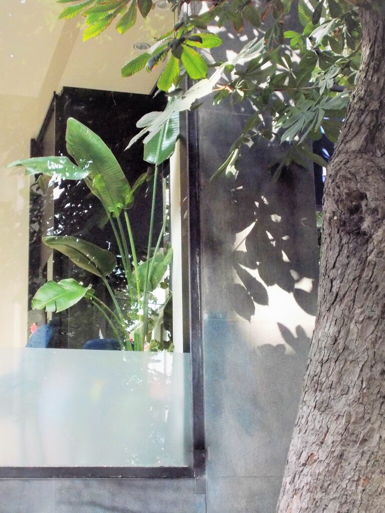 台風接近とか～　どうかお気を付け下さいますように～♡