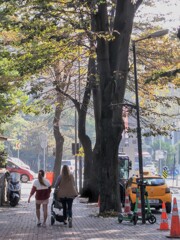 小春日和のひと時に～♪