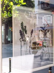 初夏の香り～～