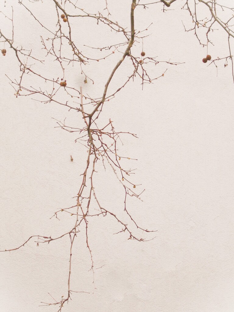 過ぎてきた時が～耐えてきた冬が報われる～～