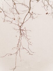 過ぎてきた時が～耐えてきた冬が報われる～～