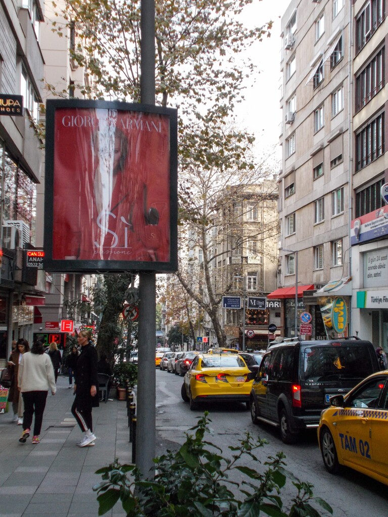 （美人）通り～☆