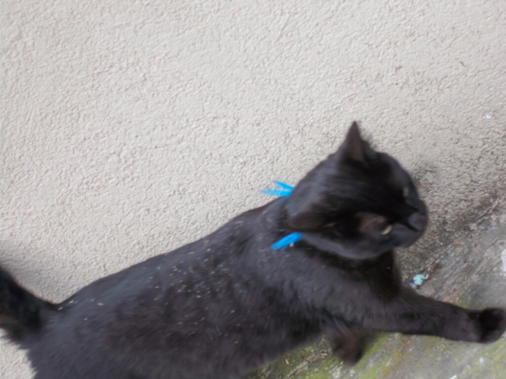 通りすがり～エクストラ～