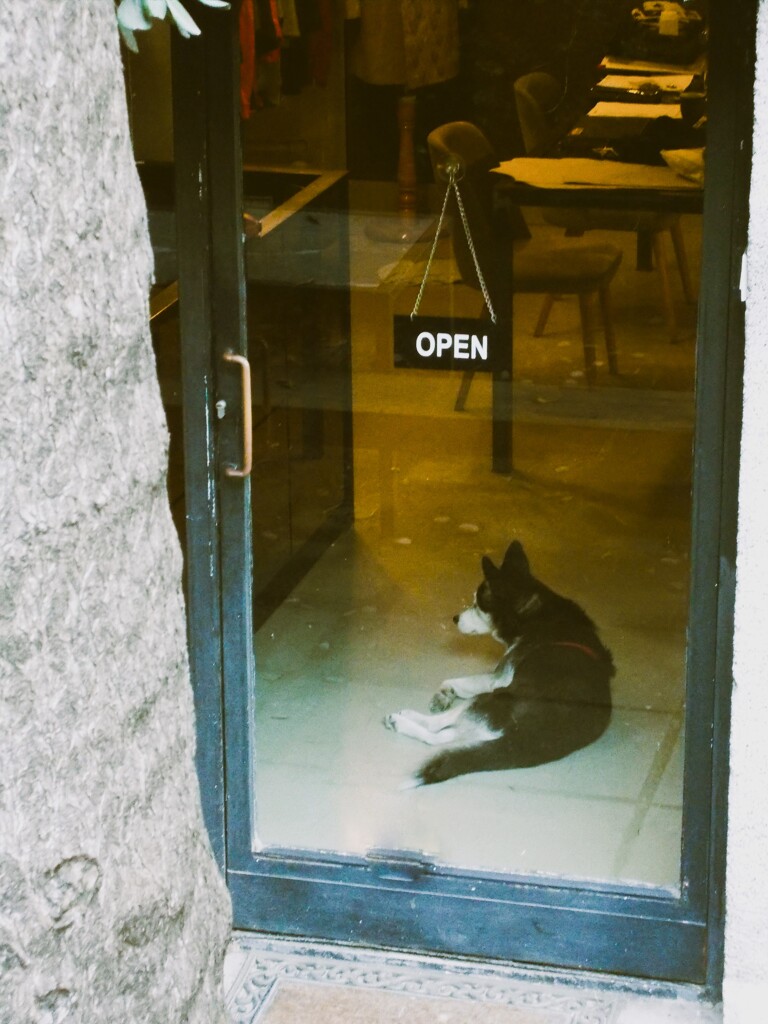 春なのに～　ため息また１っ～～♪