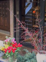 もう今から～”春よ　来い～♪”