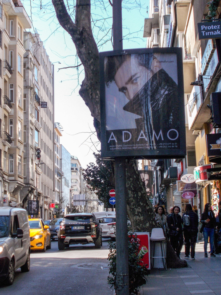 美しい視線いっぱいの通り～☆～